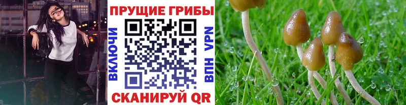 Псилоцибиновые грибы прущие грибы  Татарск 